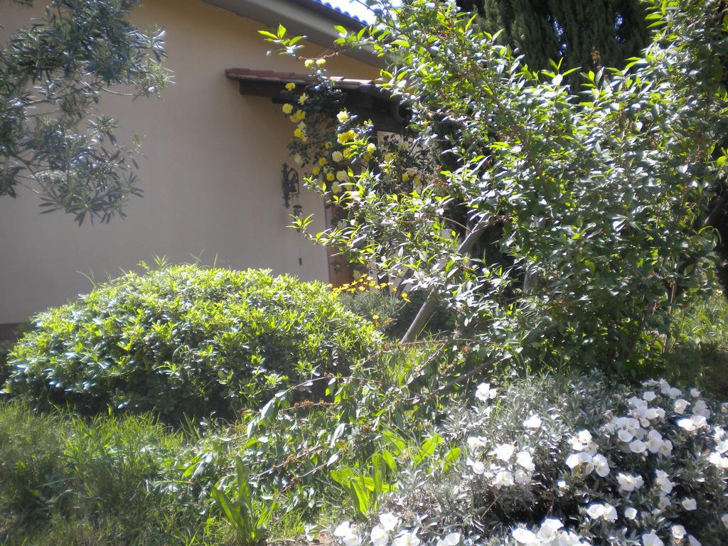 Le Tre Querce Bed and Breakfast Fiano Romano Exterior foto