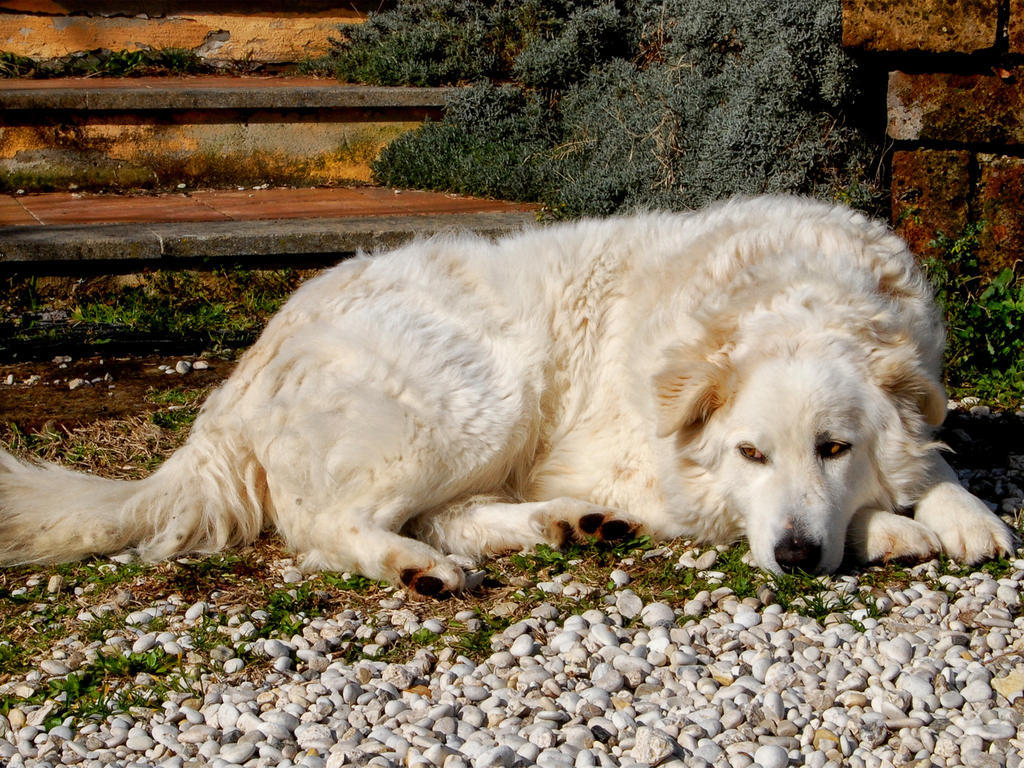 Le Tre Querce Bed and Breakfast Fiano Romano Exterior foto